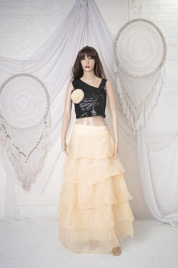 Women Party Wear Co-ords - Sequence Work