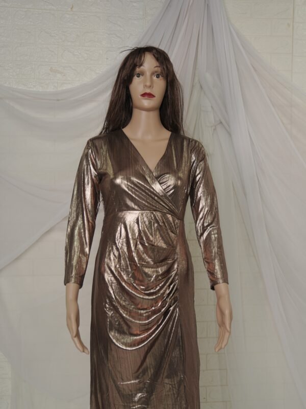 Women Gorgeous Party Wear Dress